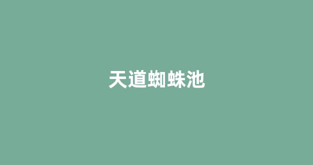 seo优化排名查询